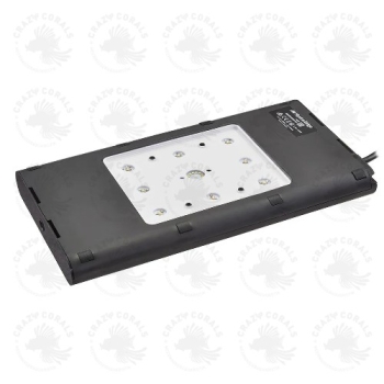AI HYDRA EDGE 44HD